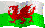 Welsh Cycling Association